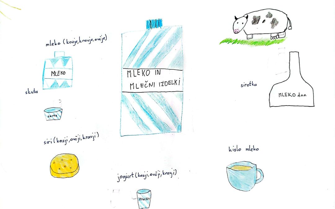 Mleko in mlečni izdelki